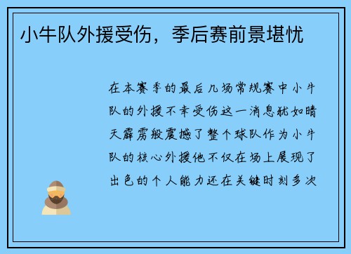 小牛队外援受伤，季后赛前景堪忧