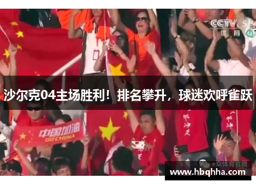 沙尔克04主场胜利！排名攀升，球迷欢呼雀跃